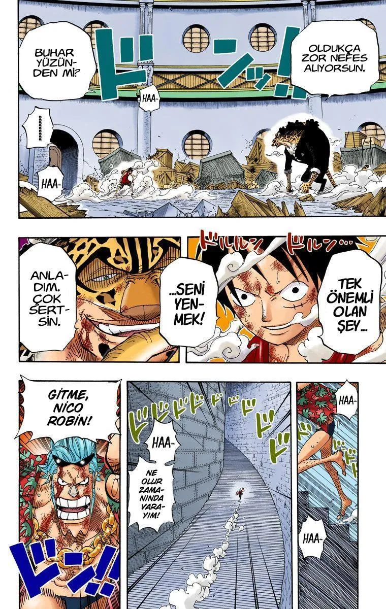 One Piece [Renkli] - Sayfa 5