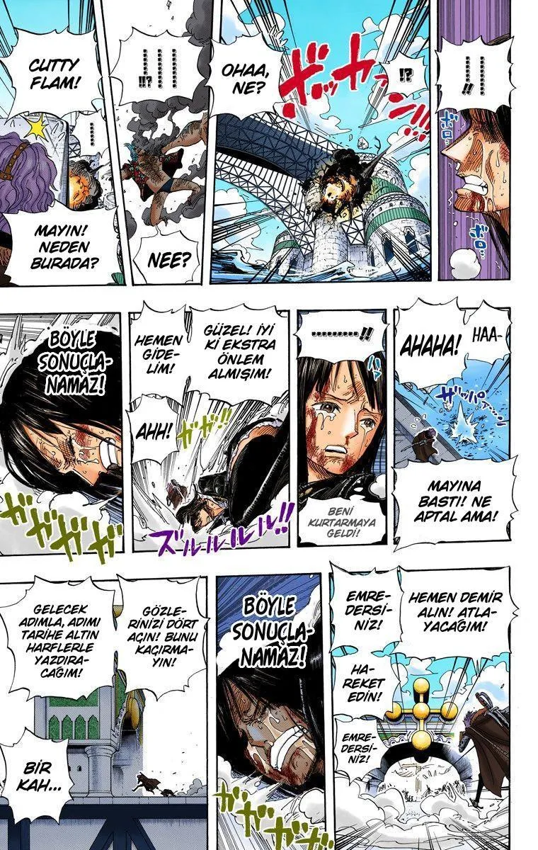 One Piece [Renkli] - Sayfa 12