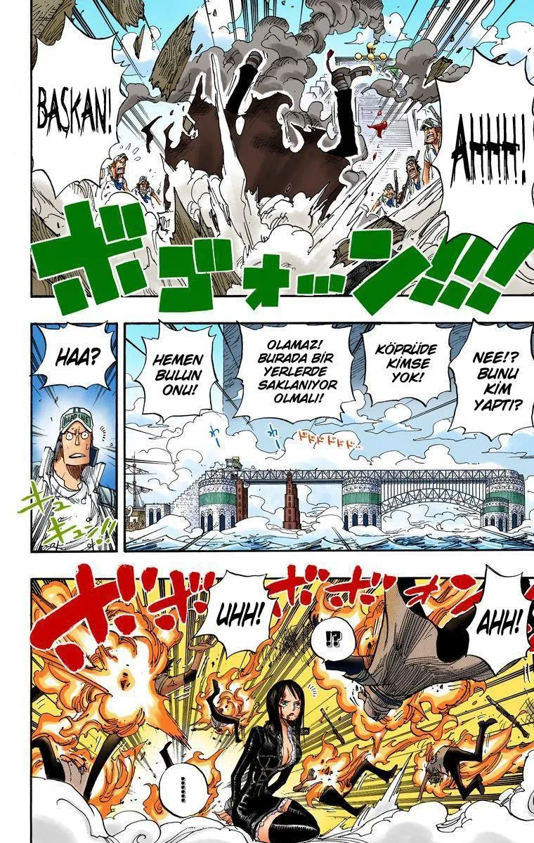 One Piece [Renkli] - Sayfa 14