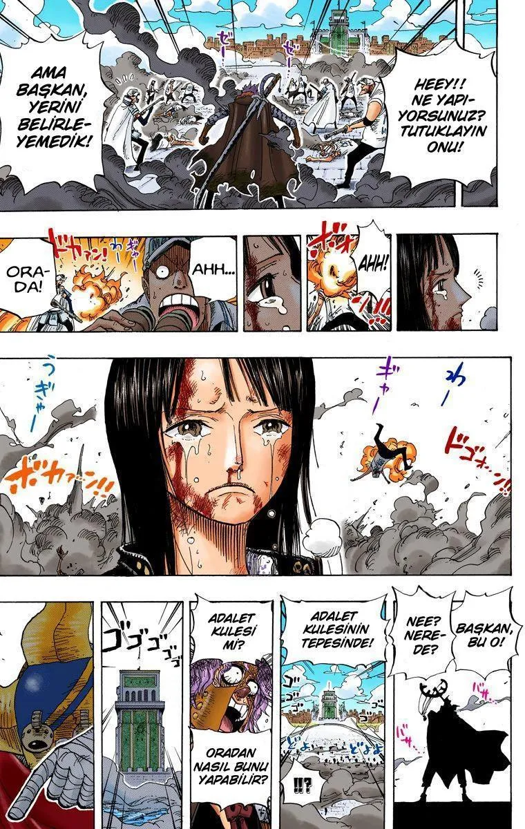 One Piece [Renkli] - Sayfa 15