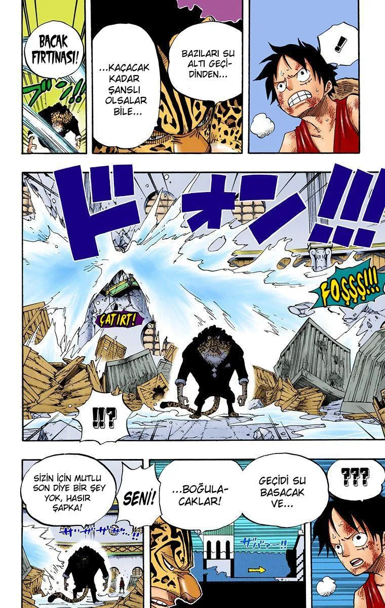 One Piece [Renkli] - Sayfa 17