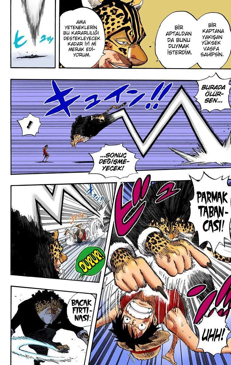 One Piece [Renkli] - Sayfa 10