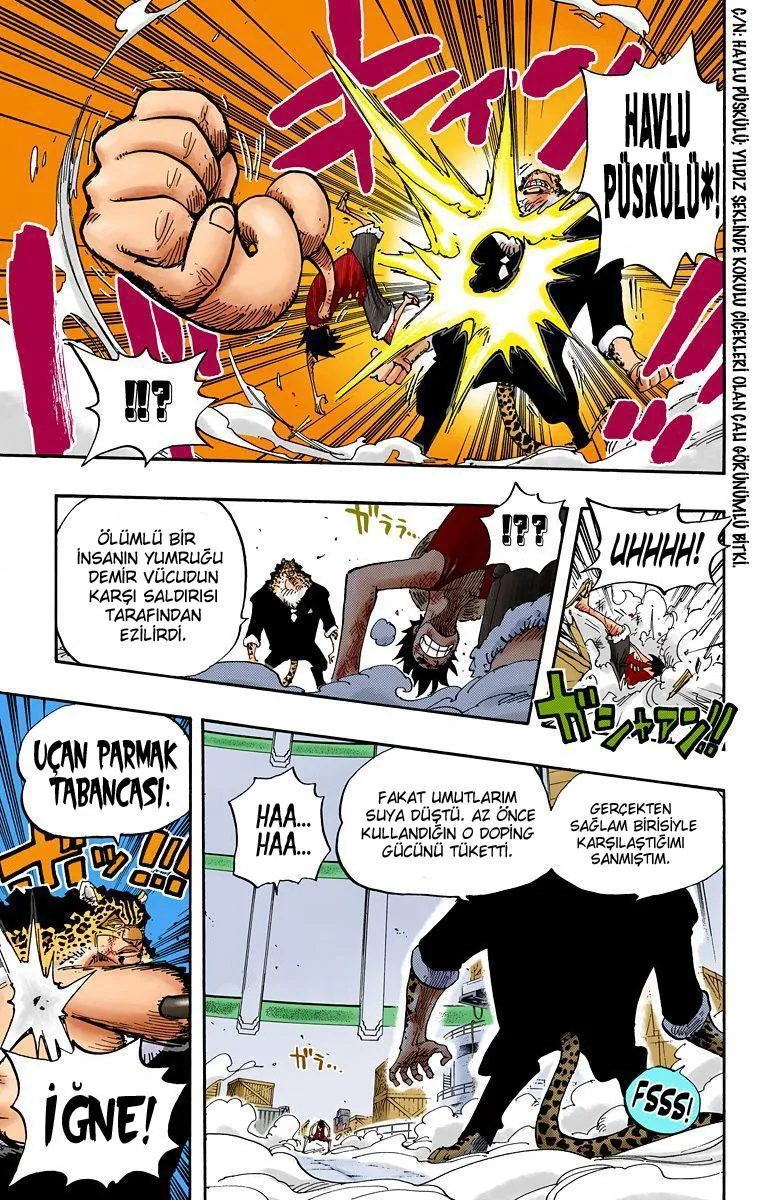 One Piece [Renkli] - Sayfa 13