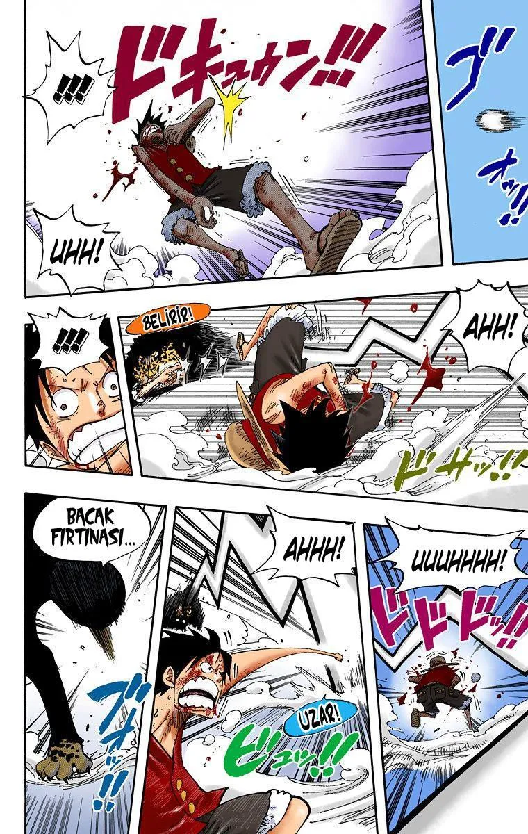 One Piece [Renkli] - Sayfa 14