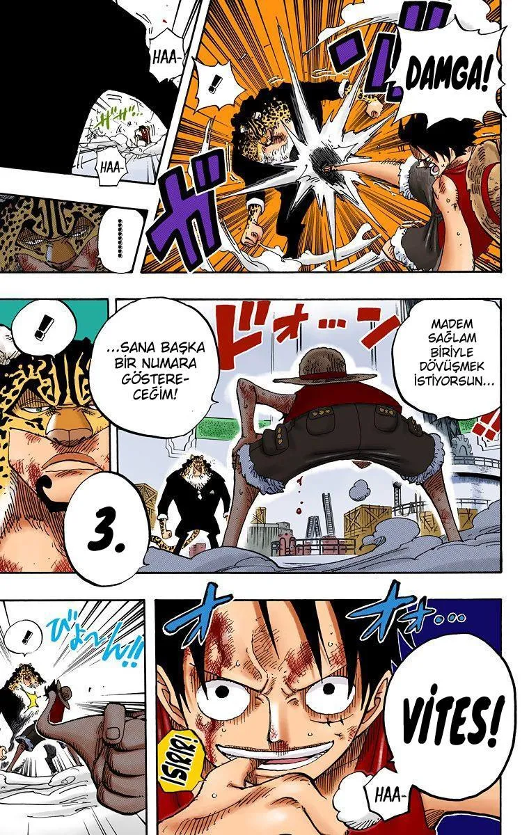 One Piece [Renkli] - Sayfa 15