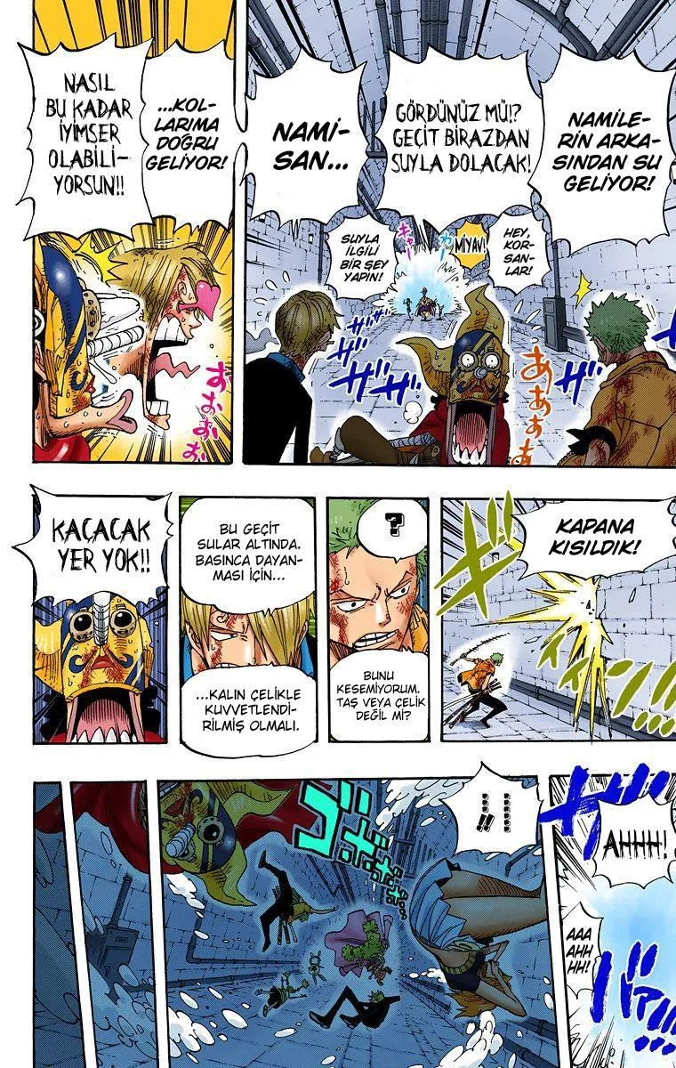 One Piece [Renkli] - Sayfa 6