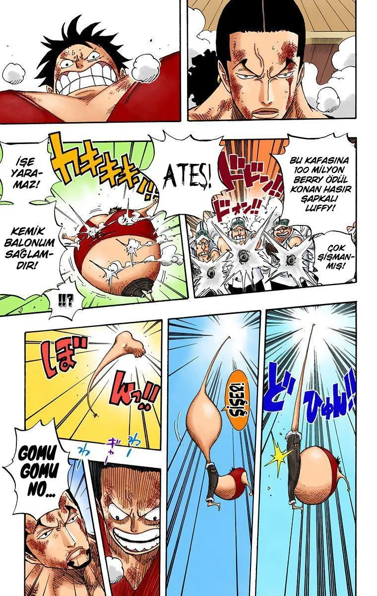 One Piece [Renkli] - Sayfa 11