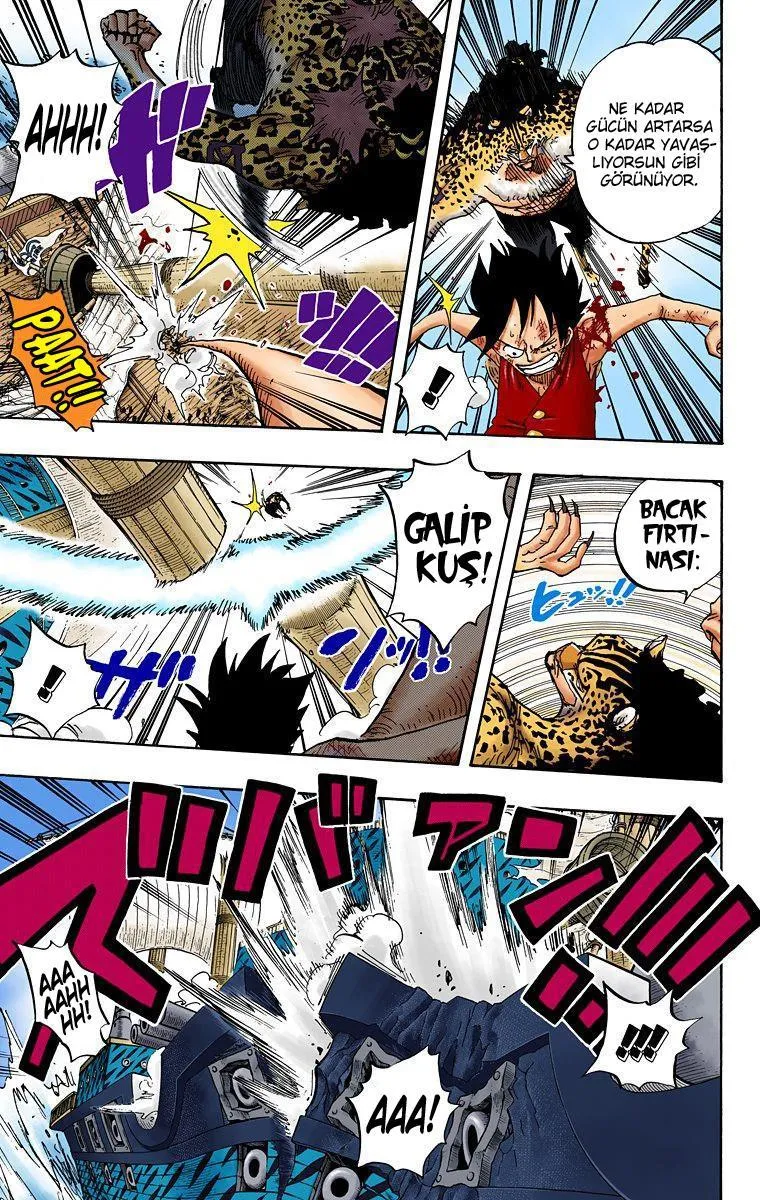 One Piece [Renkli] - Sayfa 16