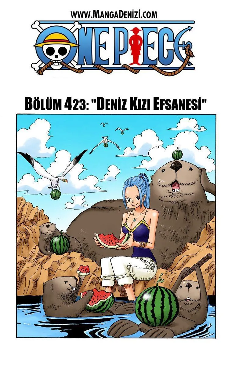 One Piece [Renkli] - Sayfa 2