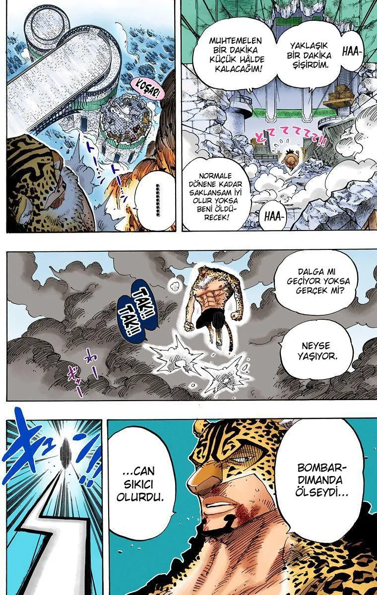 One Piece [Renkli] - Sayfa 5