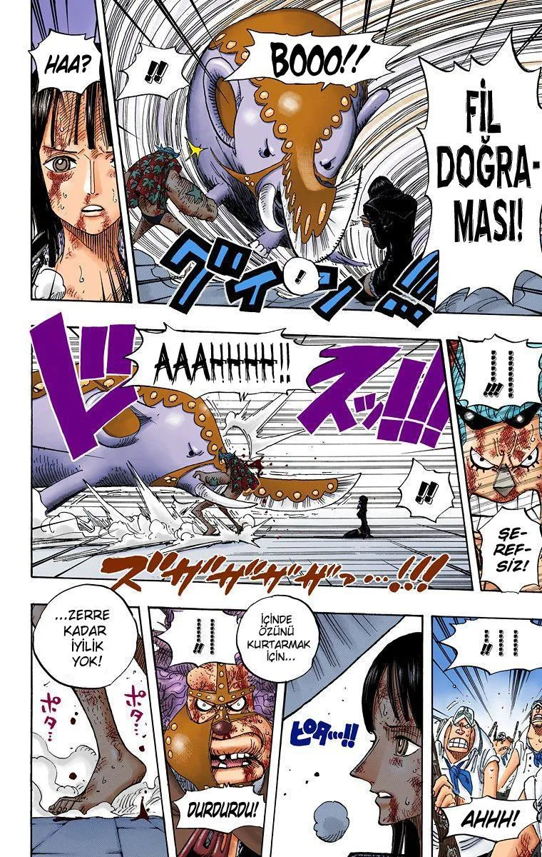 One Piece [Renkli] - Sayfa 9