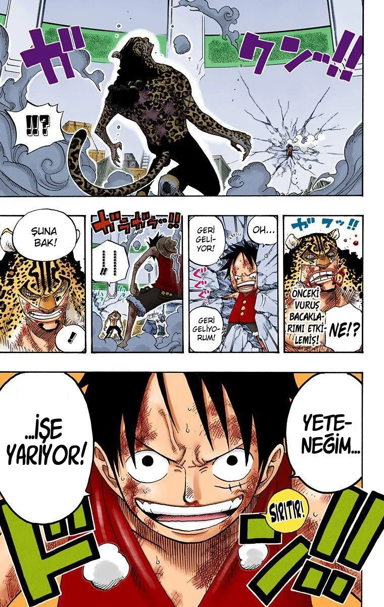 One Piece [Renkli] - Sayfa 16