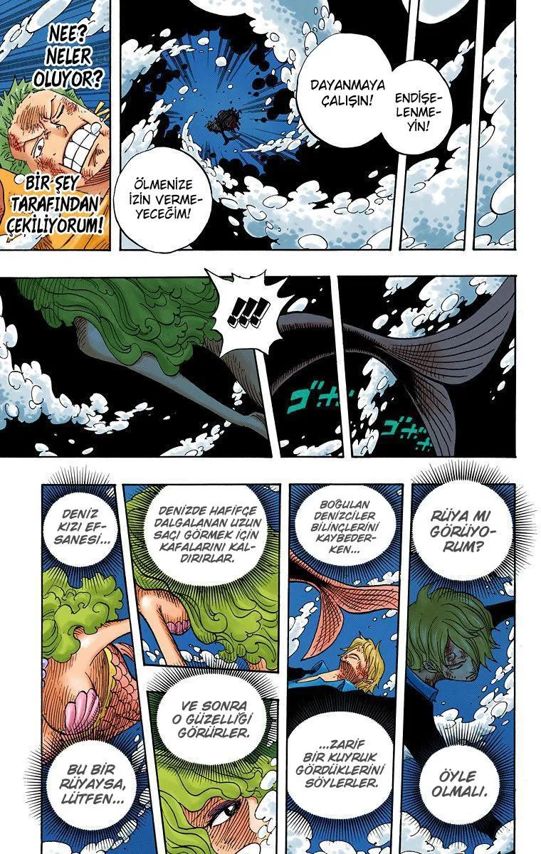 One Piece [Renkli] - Sayfa 18