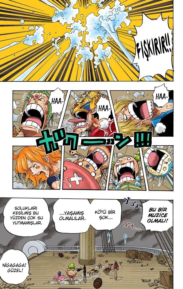 One Piece [Renkli] - Sayfa 9