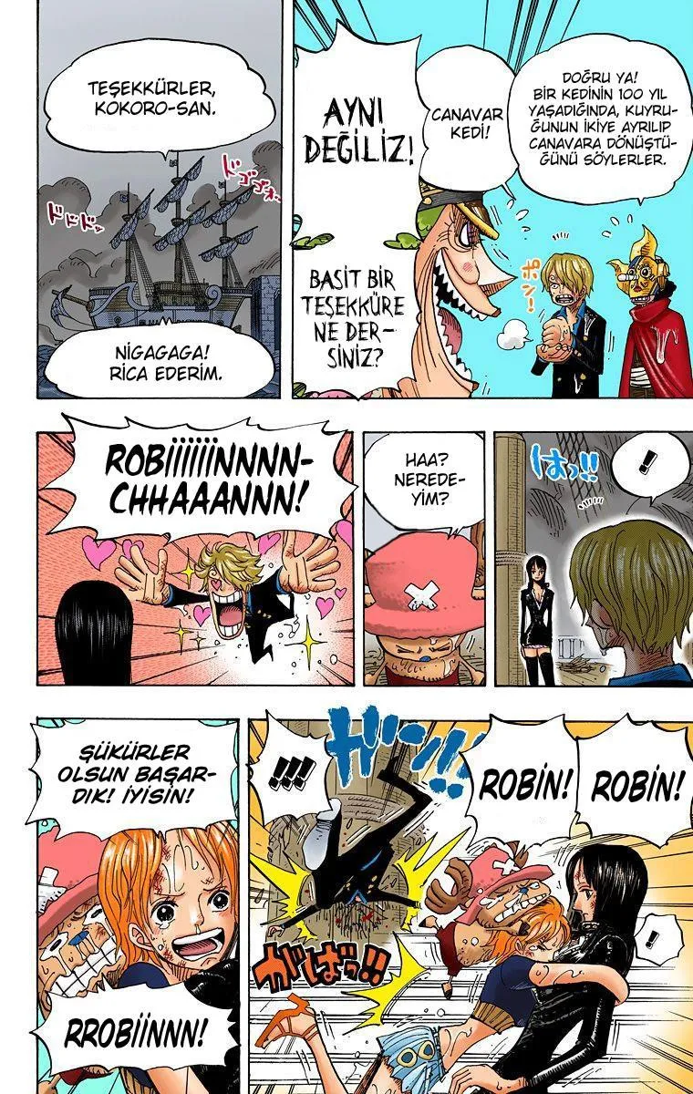 One Piece [Renkli] - Sayfa 12