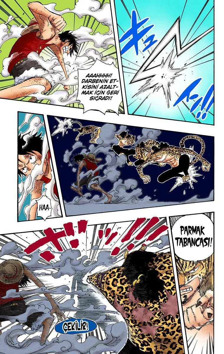 One Piece [Renkli] - Sayfa 11