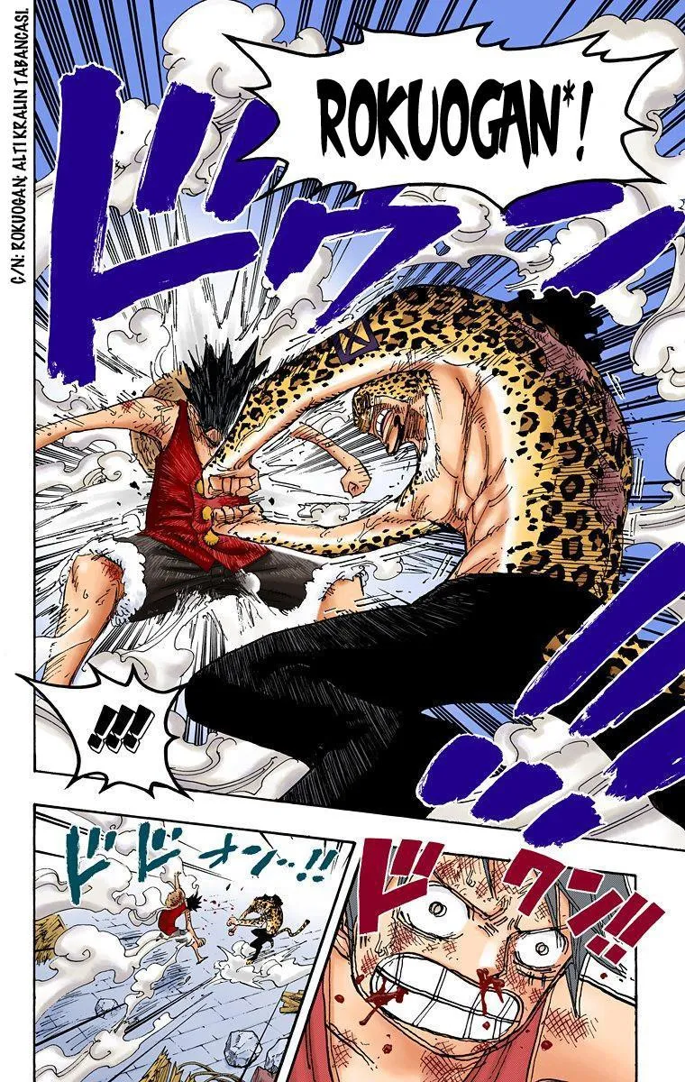 One Piece [Renkli] - Sayfa 15