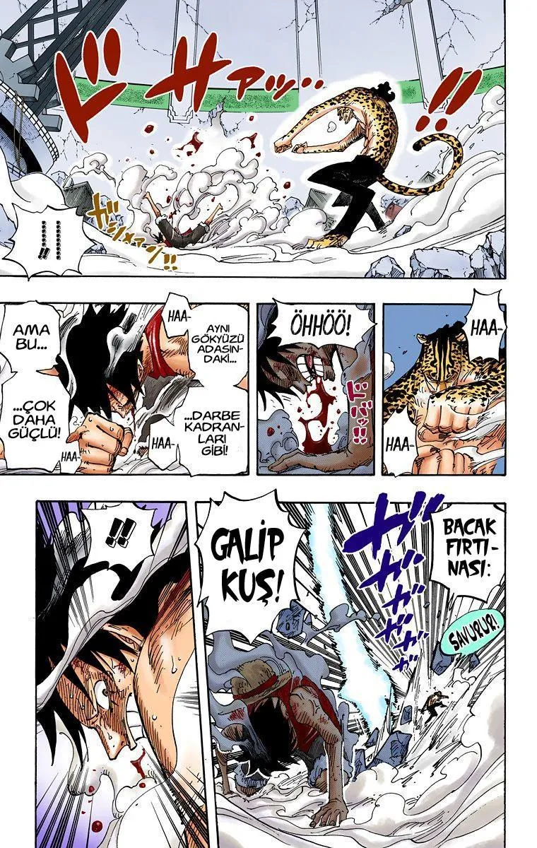 One Piece [Renkli] - Sayfa 16