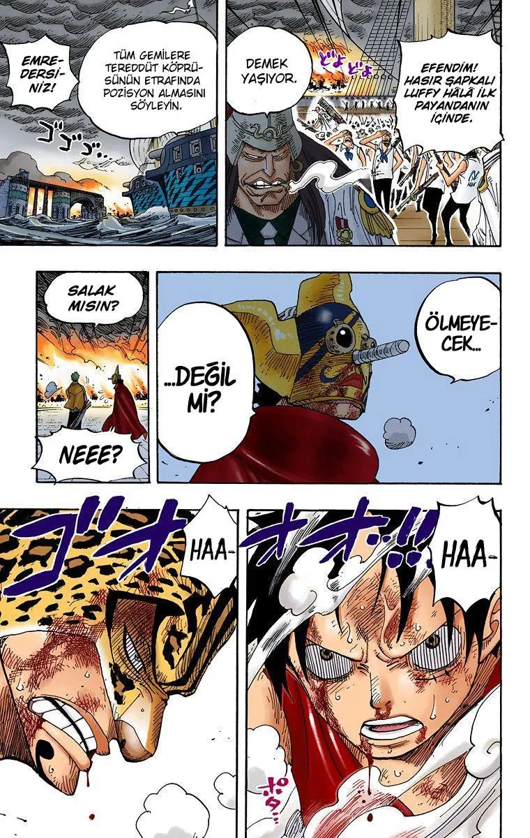 One Piece [Renkli] - Sayfa 18