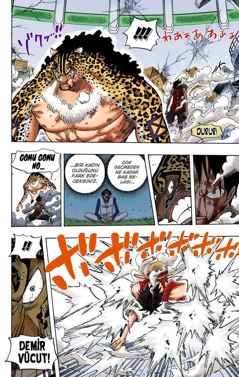 One Piece [Renkli] - Sayfa 13