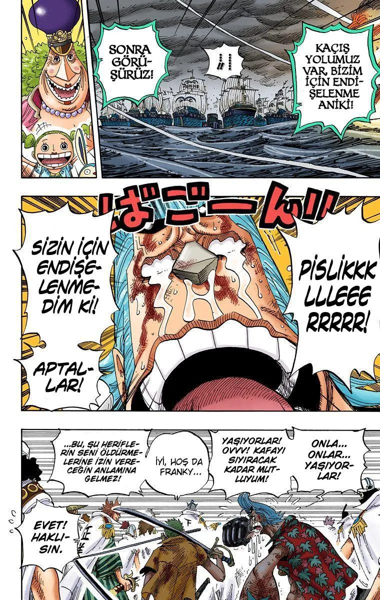 One Piece [Renkli] - Sayfa 7