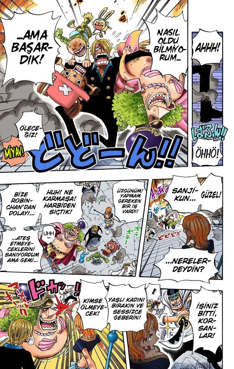 One Piece [Renkli] - Sayfa 12