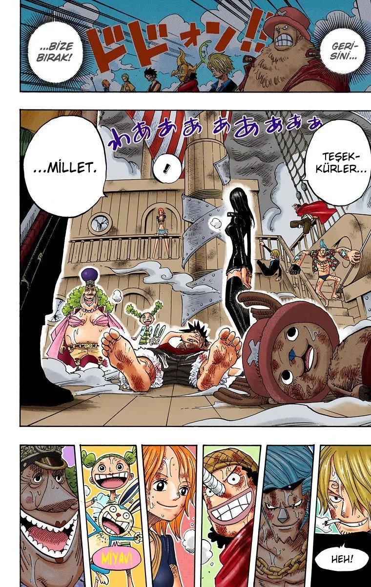 One Piece [Renkli] - Sayfa 5