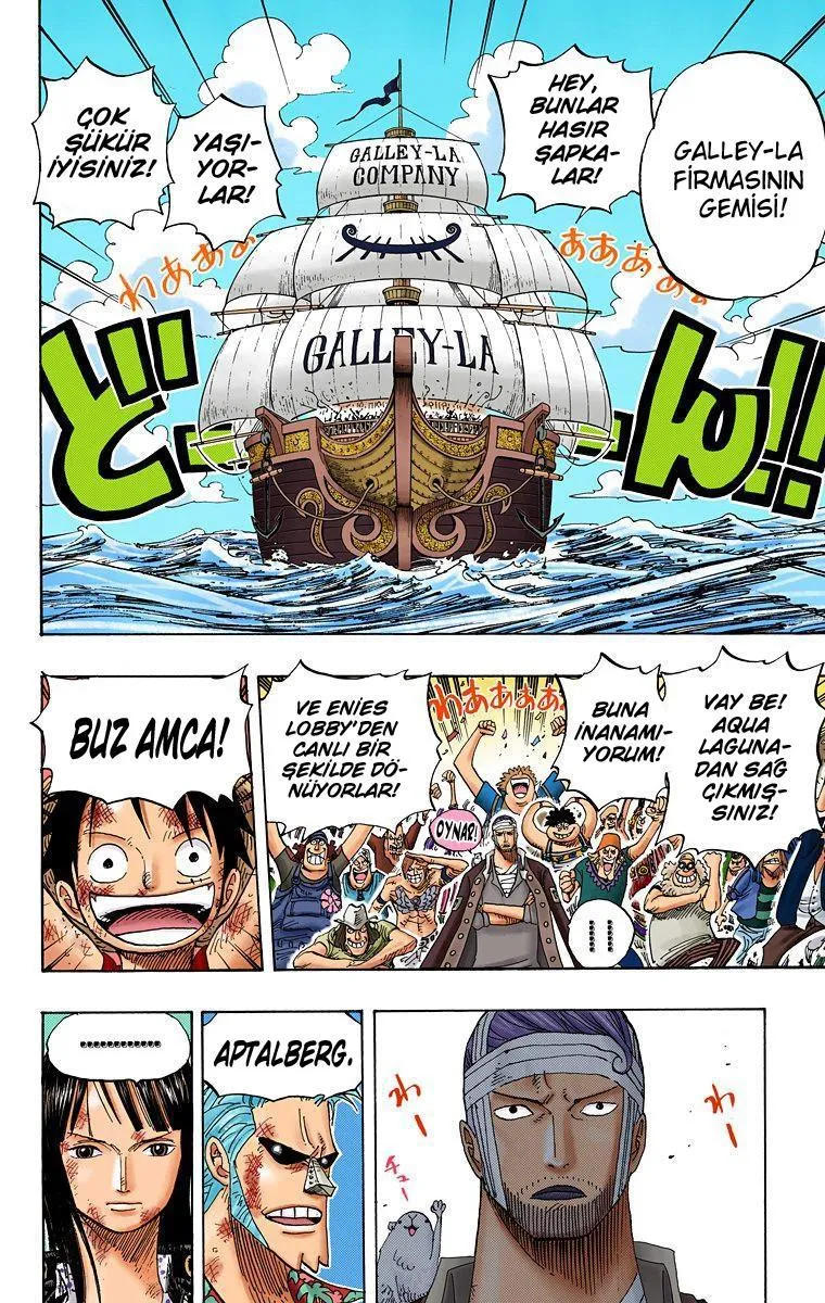 One Piece [Renkli] - Sayfa 5