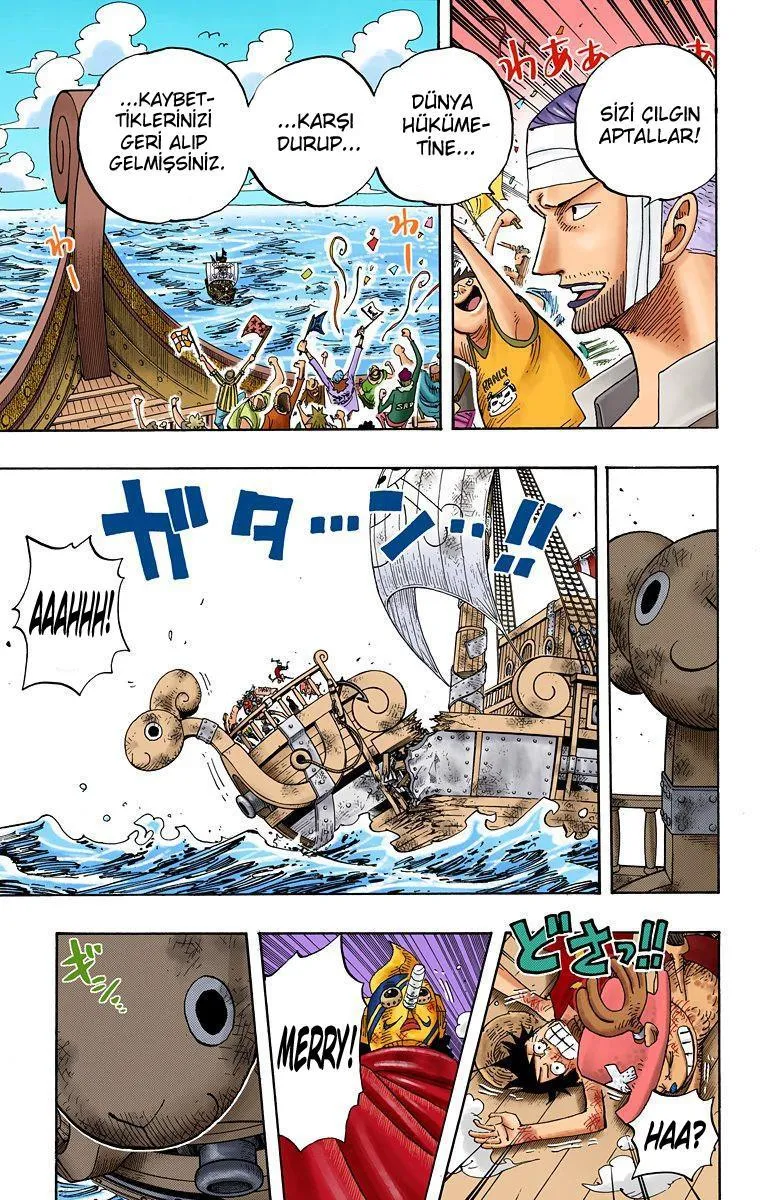 One Piece [Renkli] - Sayfa 6