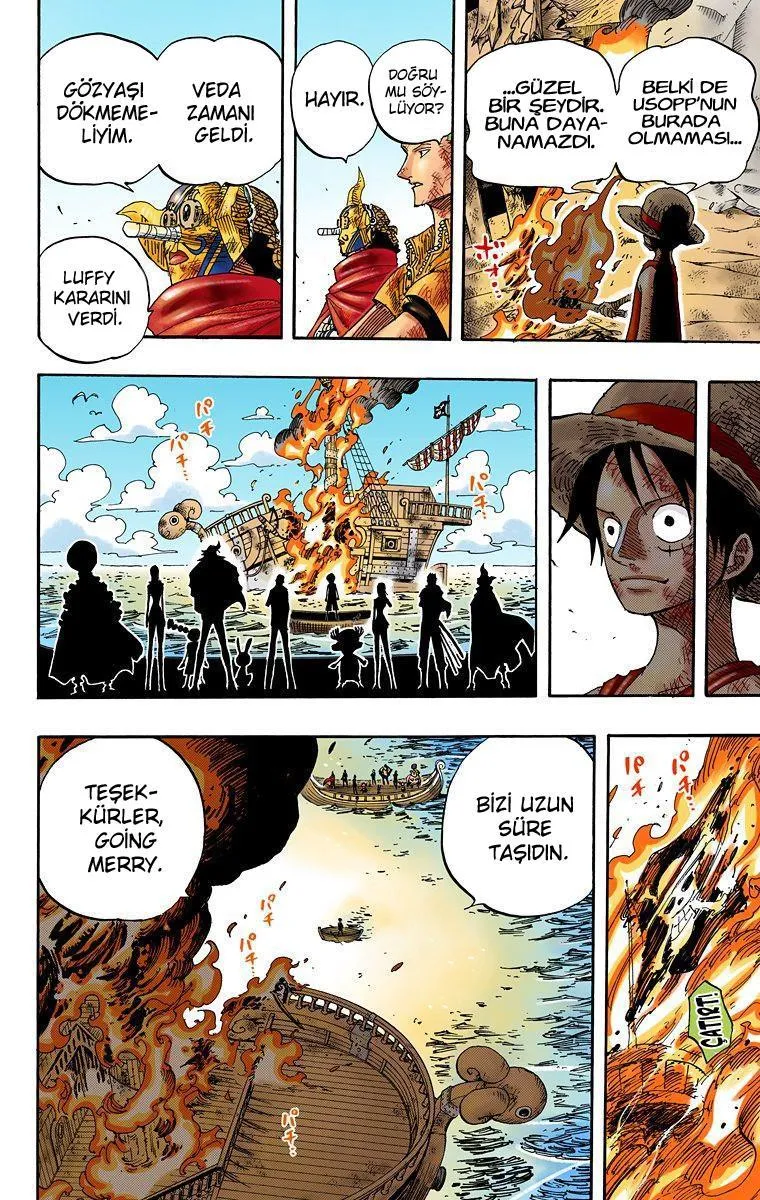 One Piece [Renkli] - Sayfa 13