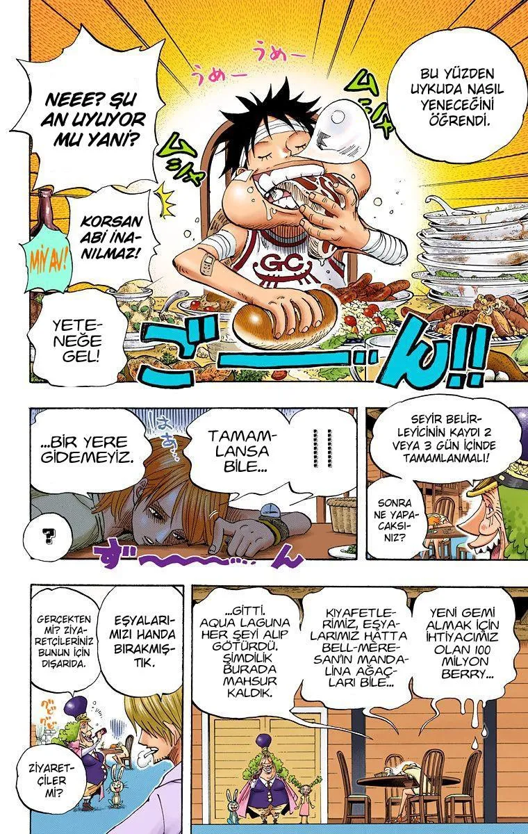 One Piece [Renkli] - Sayfa 10