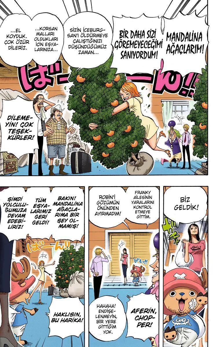 One Piece [Renkli] - Sayfa 11