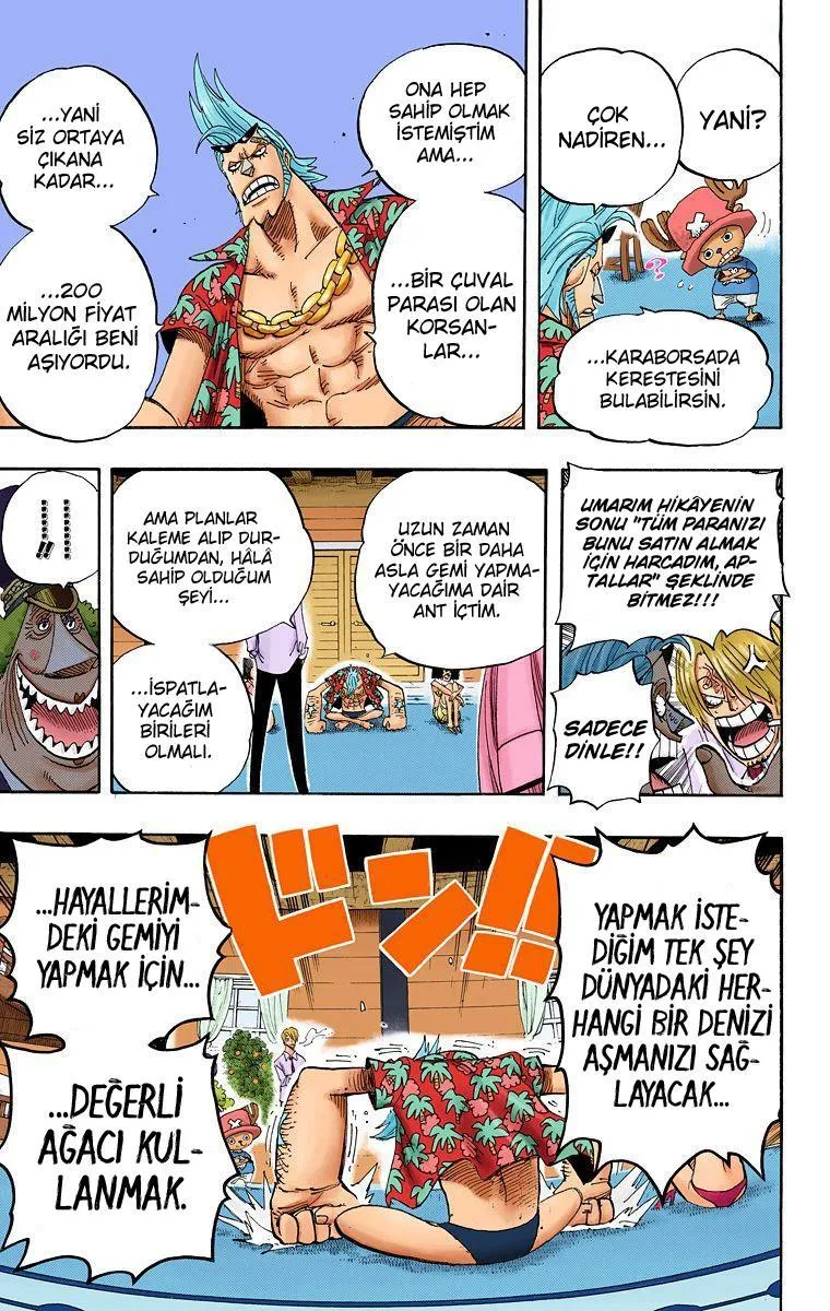 One Piece [Renkli] - Sayfa 13