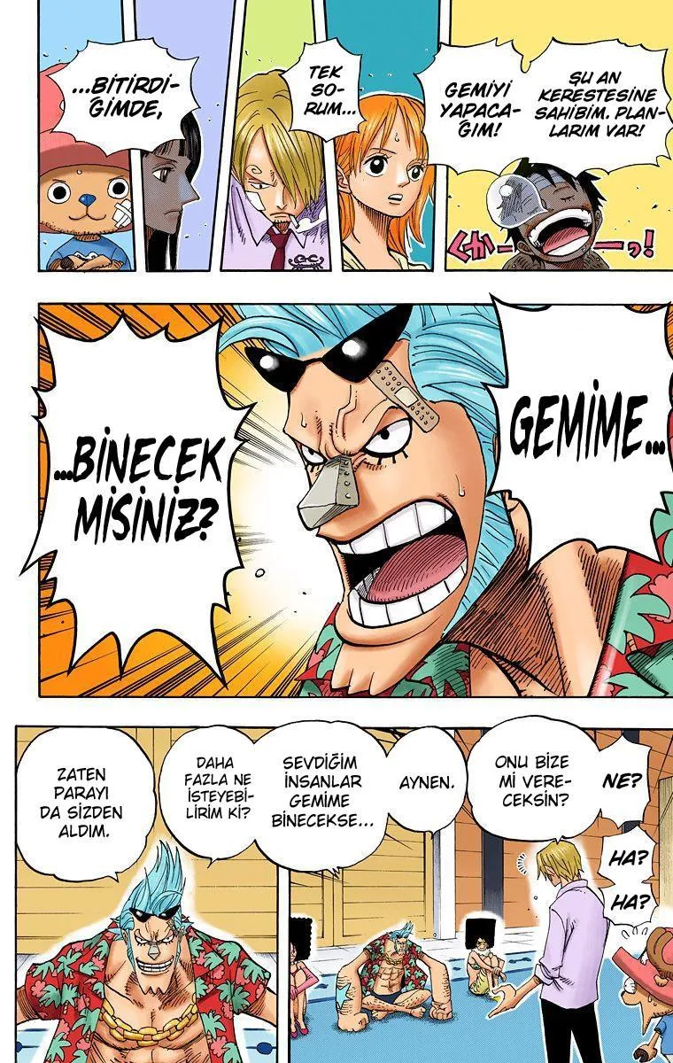 One Piece [Renkli] - Sayfa 14