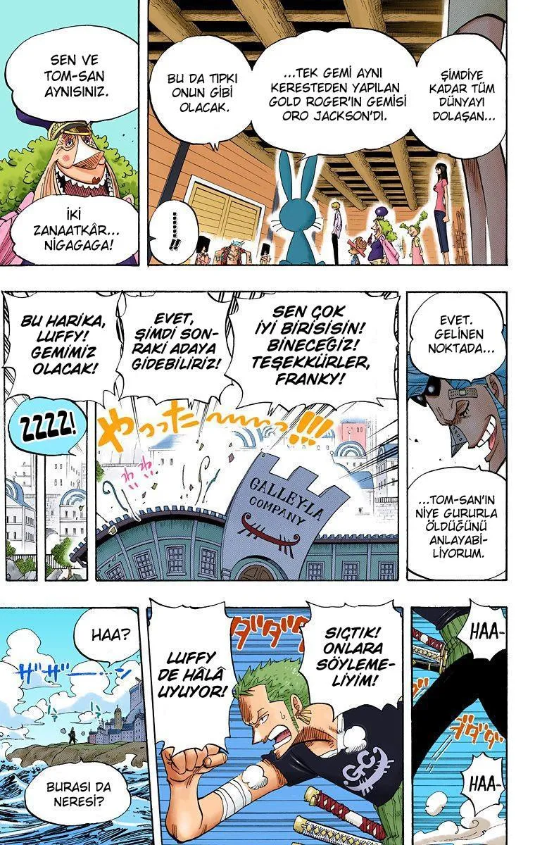 One Piece [Renkli] - Sayfa 15