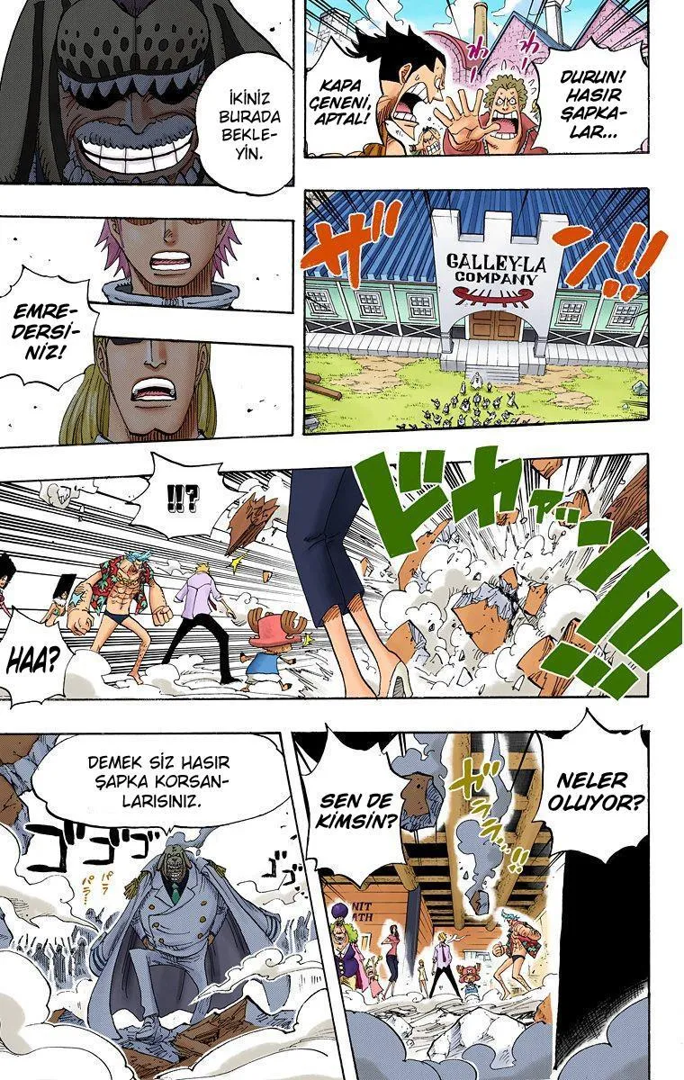 One Piece [Renkli] - Sayfa 17