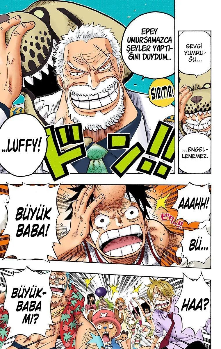 One Piece [Renkli] - Sayfa 19