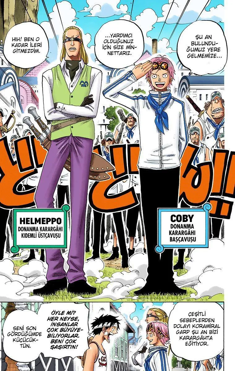 One Piece [Renkli] - Sayfa 14