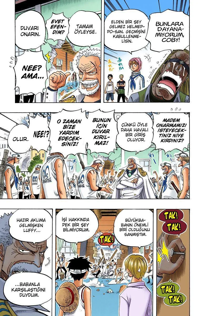 One Piece [Renkli] - Sayfa 16