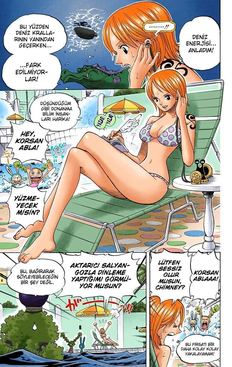 One Piece [Renkli] - Sayfa 6