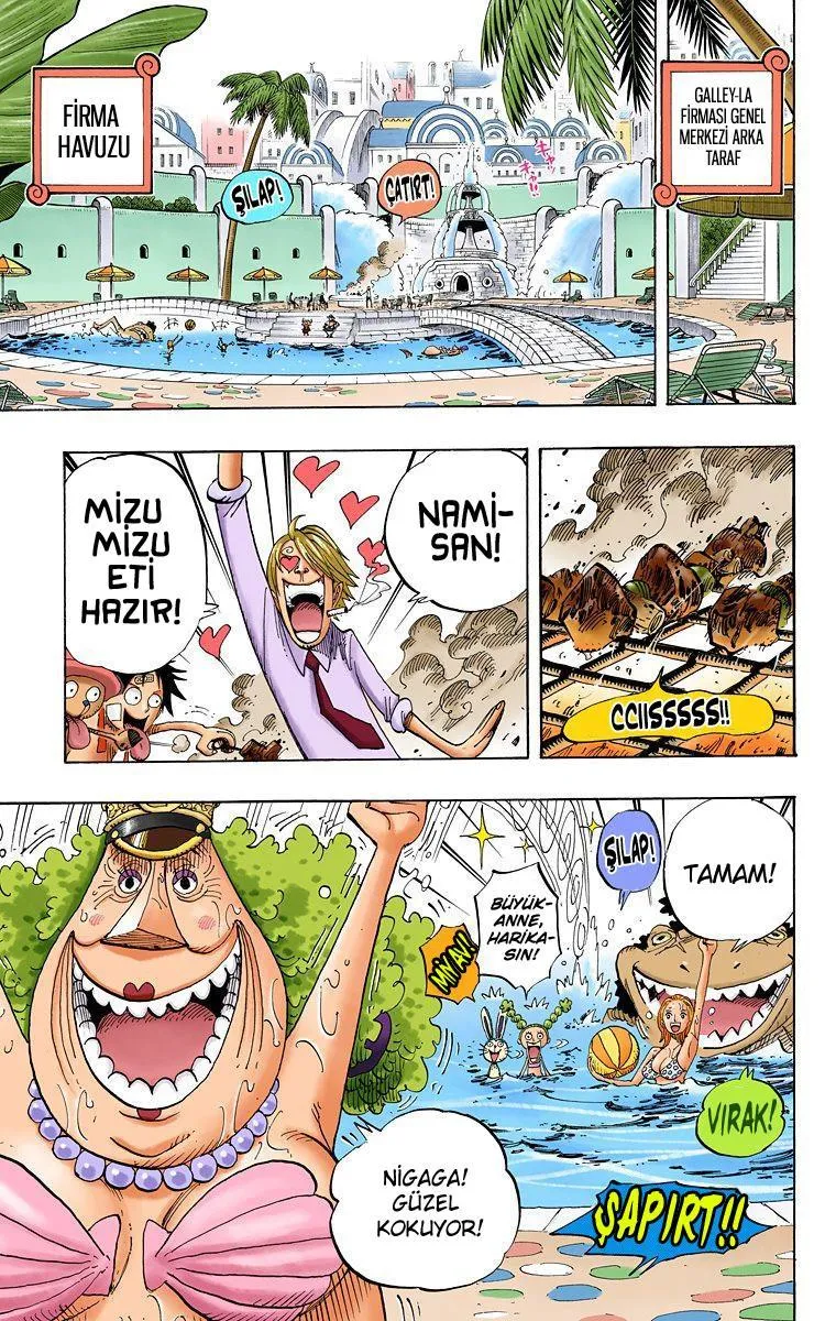 One Piece [Renkli] - Sayfa 12