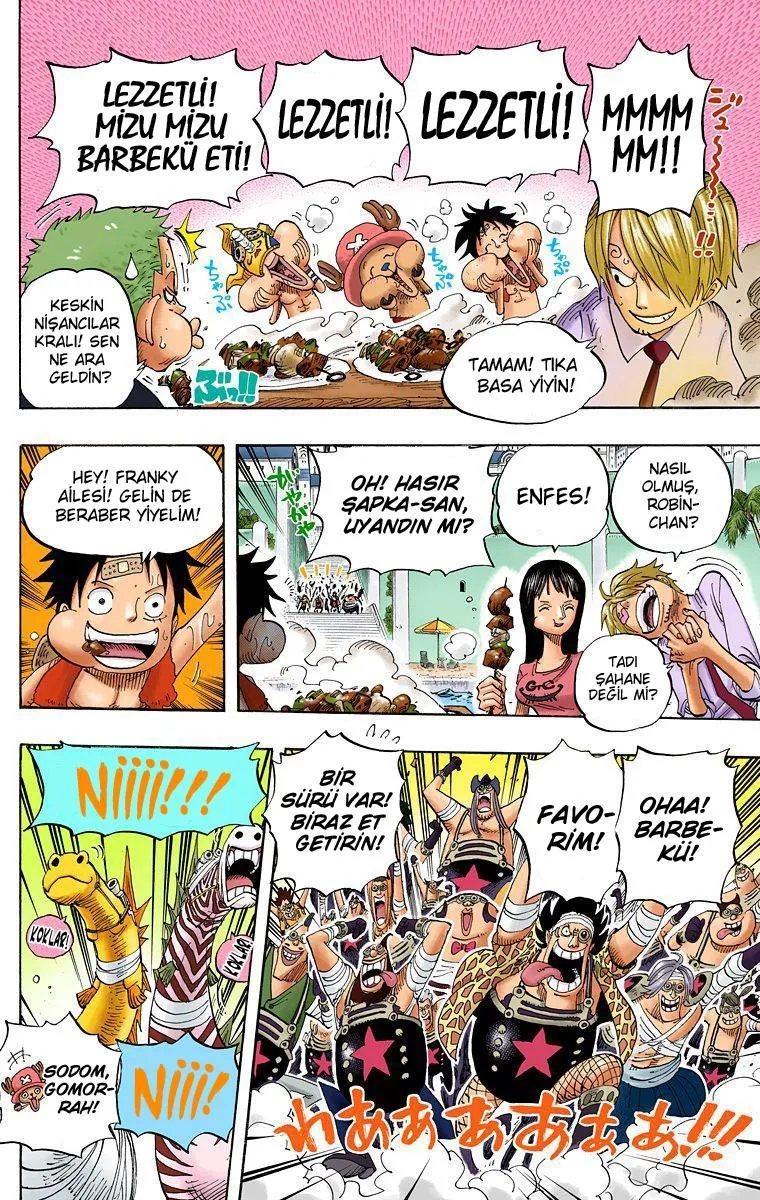 One Piece [Renkli] - Sayfa 13