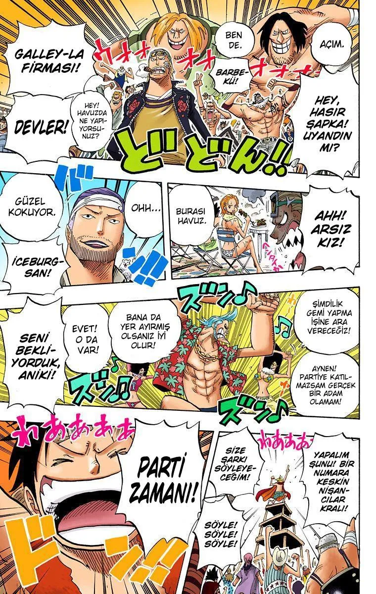 One Piece [Renkli] - Sayfa 14