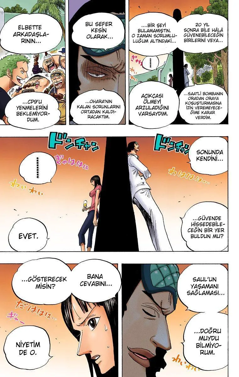 One Piece [Renkli] - Sayfa 17