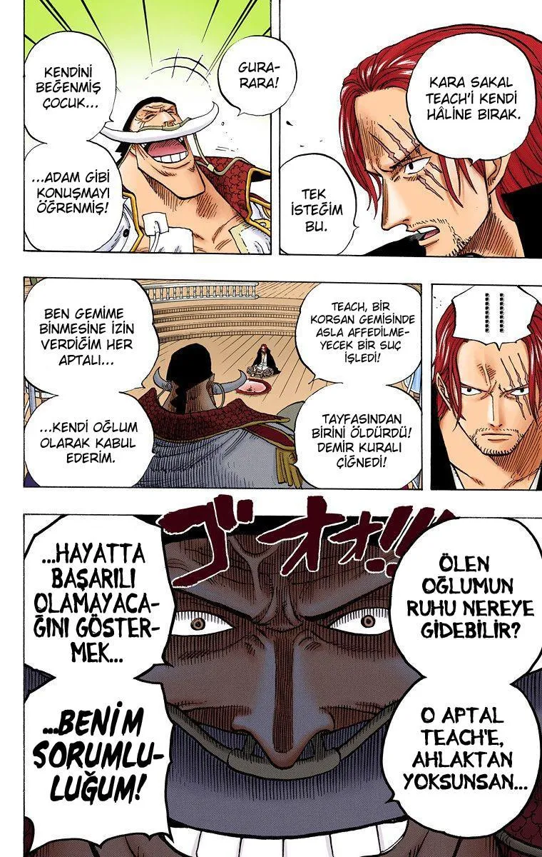 One Piece [Renkli] - Sayfa 14