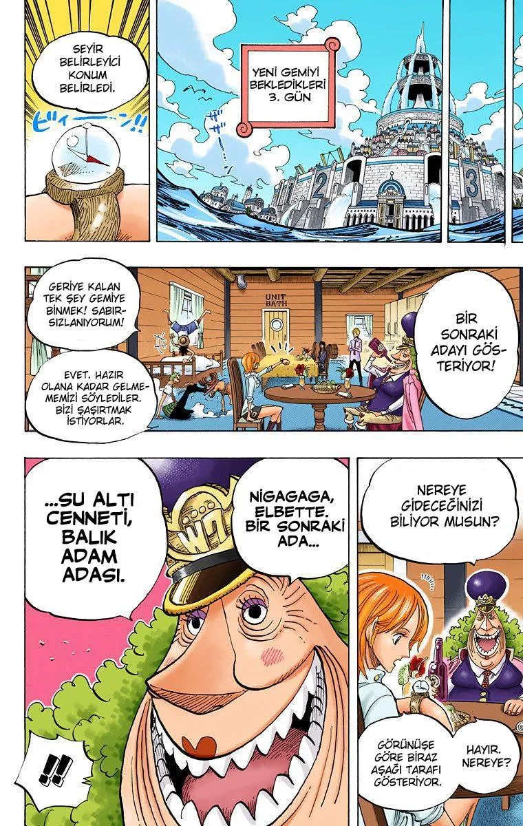 One Piece [Renkli] - Sayfa 11