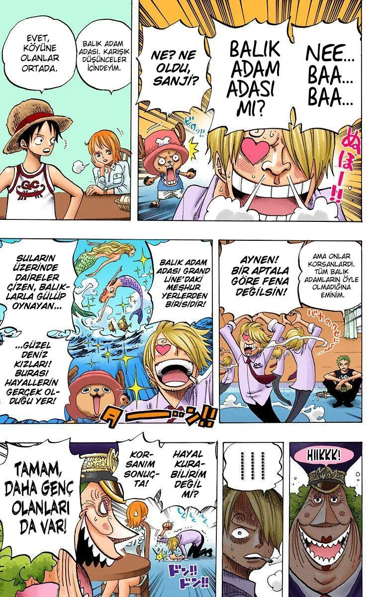 One Piece [Renkli] - Sayfa 12