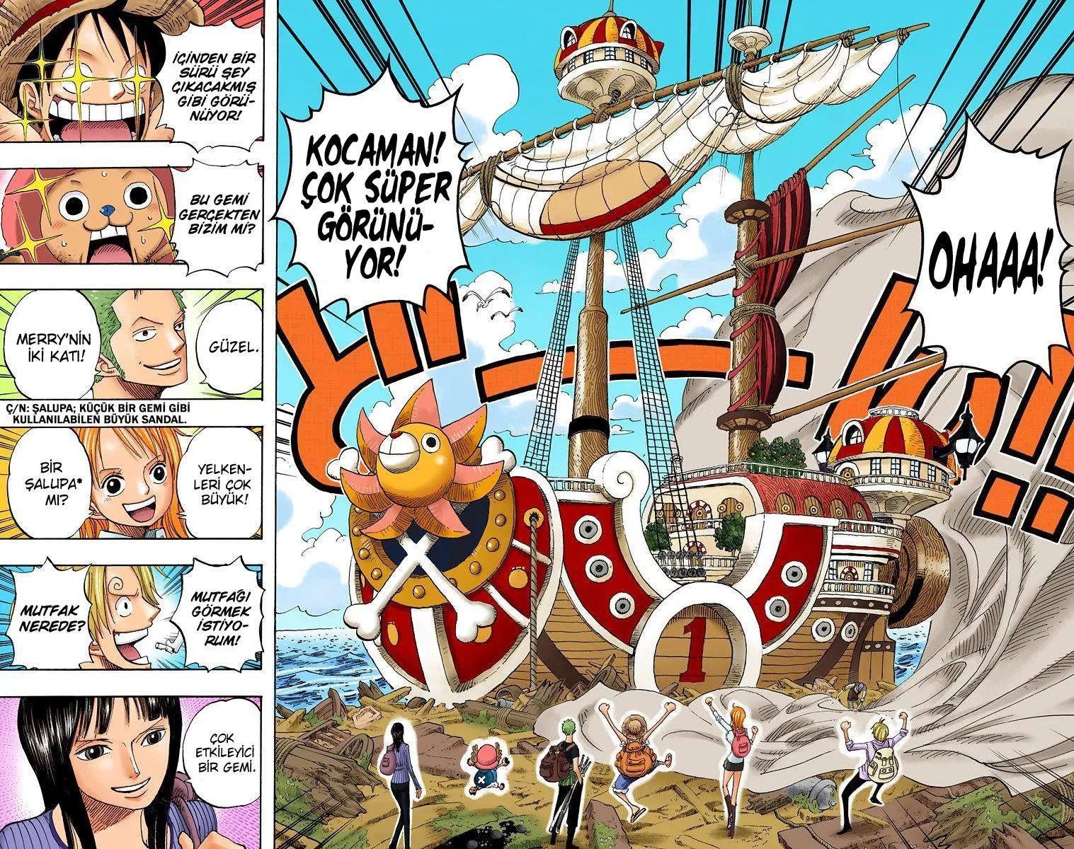One Piece [Renkli] - Sayfa 7