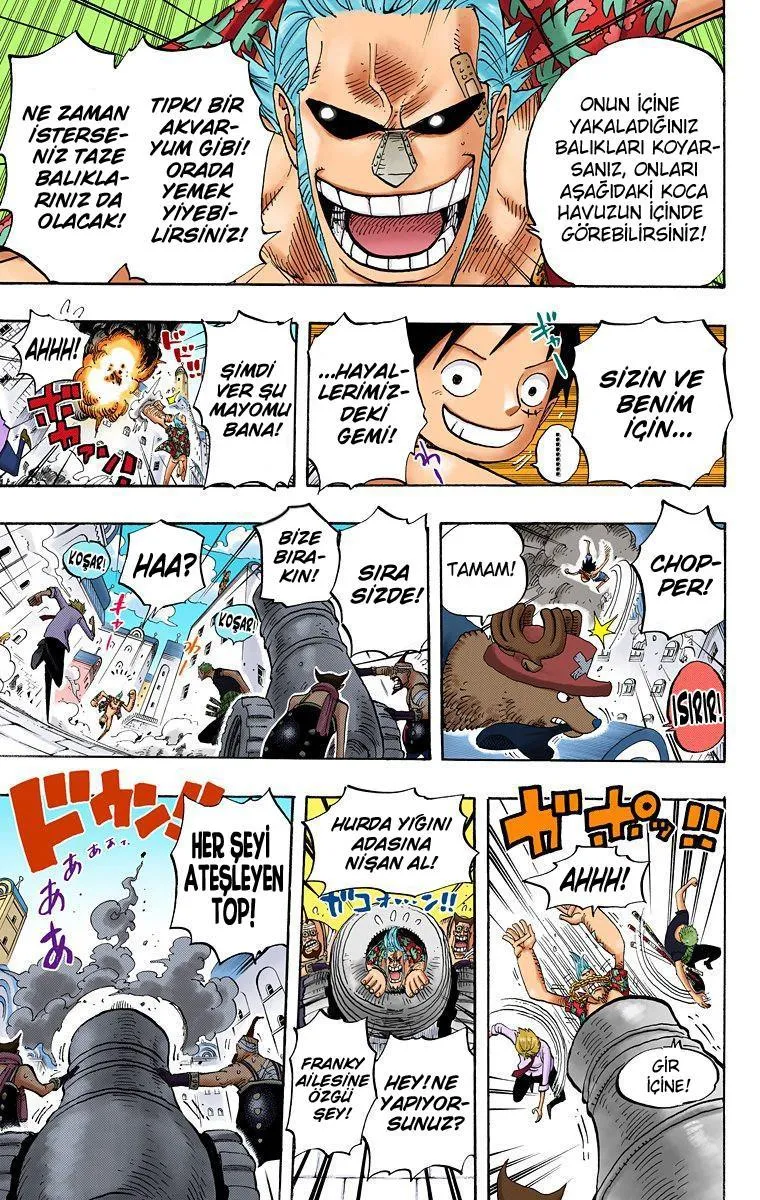 One Piece [Renkli] - Sayfa 17