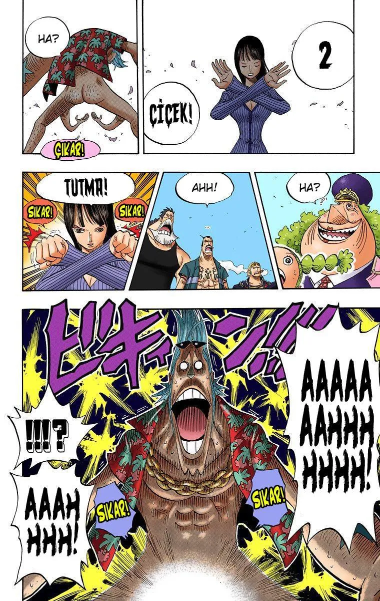 One Piece [Renkli] - Sayfa 5